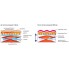 Кинезио тейп EPOS TAPE Design 5м, Гипоаллергенный  с рисунком - камуфляж (KT-03)
